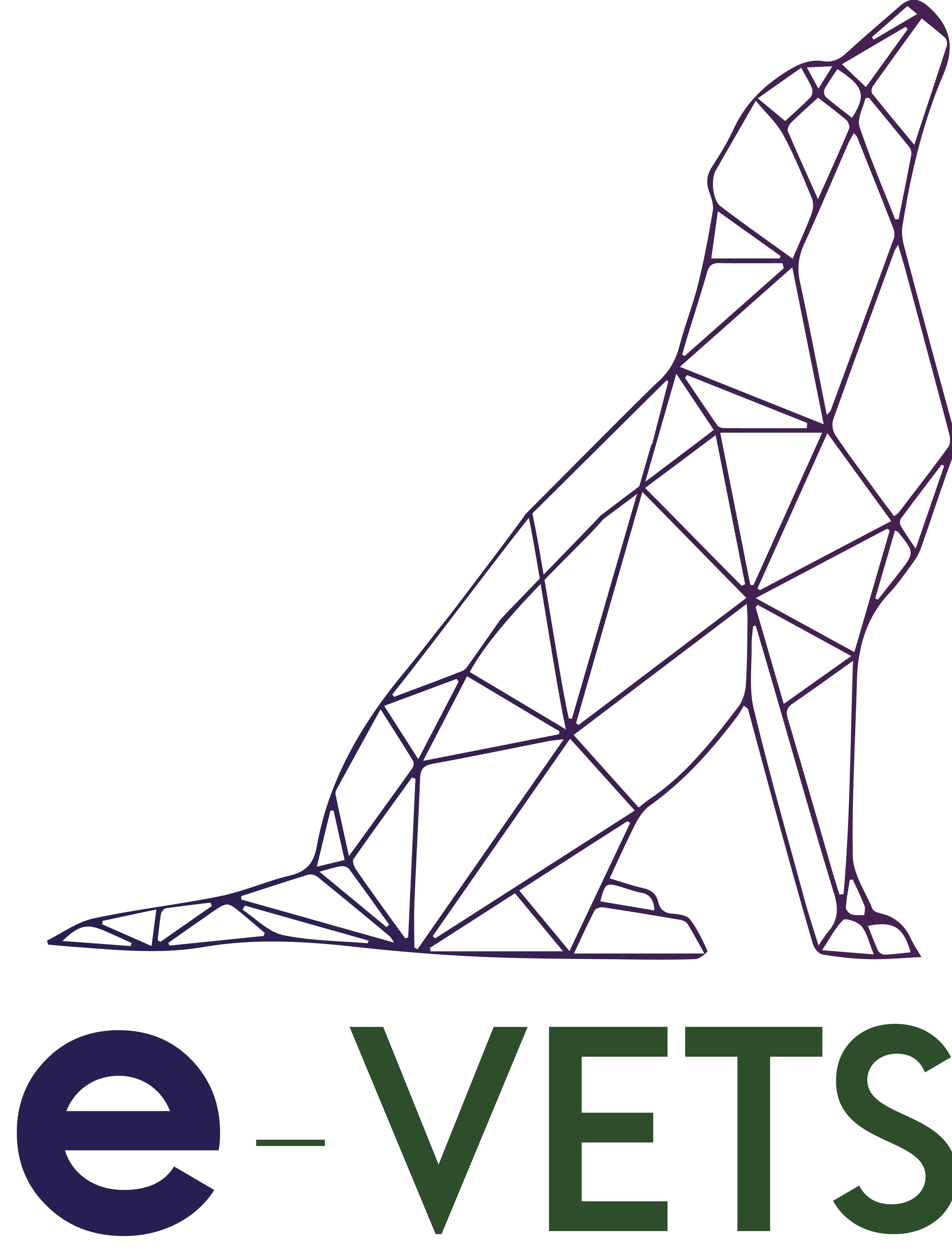 e-VETS